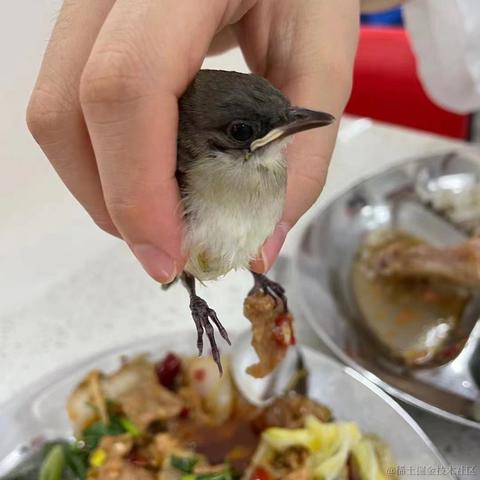 圈圈2100于2023-08-22 15:39发布的图片