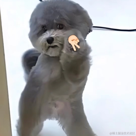 崽崽爱学习于2022-06-16 15:44发布的图片