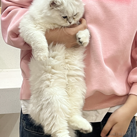 余祉晴于2023-04-16 09:46发布的图片