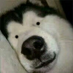 阿里巴巴首席架构师于2022-06-10 09:55发布的图片