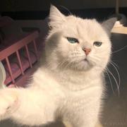 用户857156057307的个人资料头像