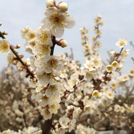 getify于2023-02-18 20:28发布的图片