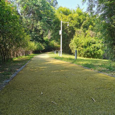 掘金安东尼于2021-10-26 13:19发布的图片