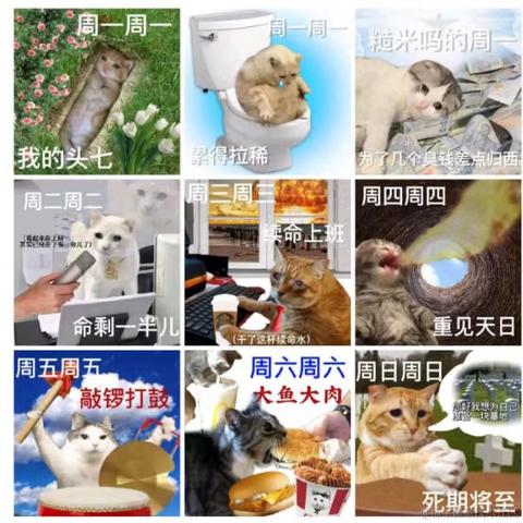 在逃的打工猫于2023-03-27 09:04发布的图片