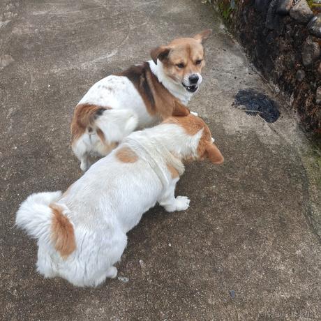 水果篮子于2022-12-05 07:32发布的图片