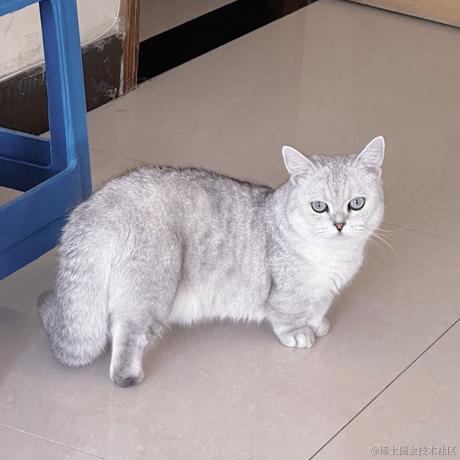 熠熠于2022-11-17 09:33发布的图片