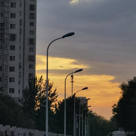 戴安娜小姐的狗于2023-07-03 11:53发布的图片