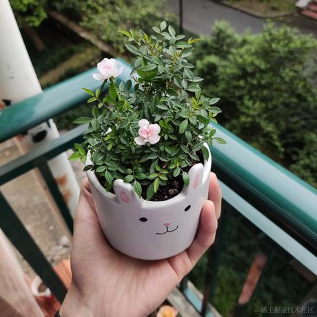 地衣君于2022-12-15 14:31发布的图片