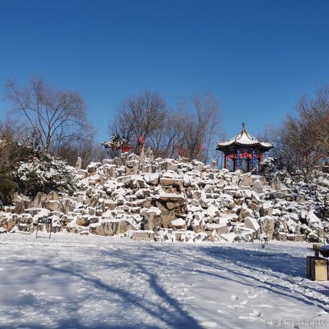 人性本恶于2023-12-16 10:40发布的图片