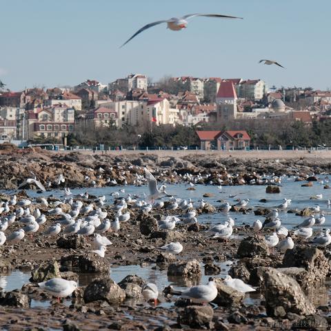 你好我就要起飞了于2022-12-24 08:53发布的图片