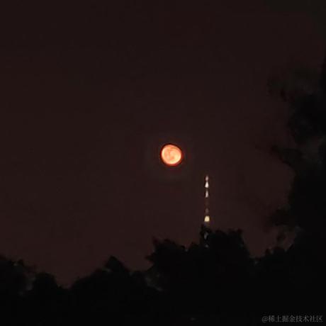 晚晚郁金香于2022-11-13 16:23发布的图片