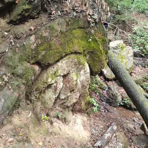 所飒于2022-11-28 22:06发布的图片