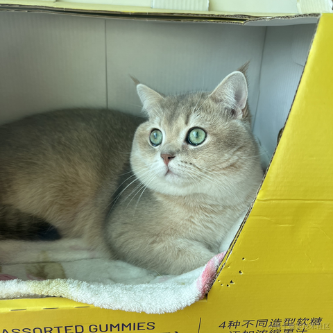 JAVA旭阳于2023-01-20 15:35发布的图片