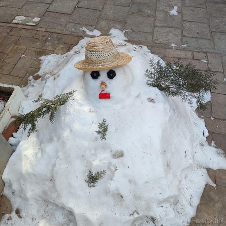 优秀稳妥的金枪小魔王于2023-01-18 10:33发布的图片