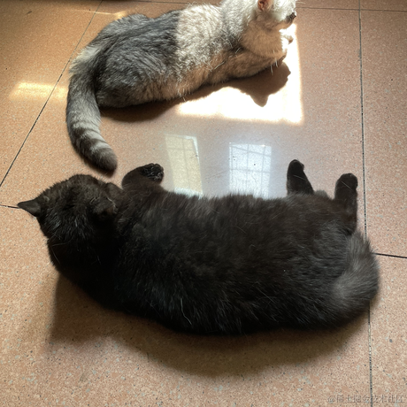 heronCCC于2023-05-29 08:18发布的图片