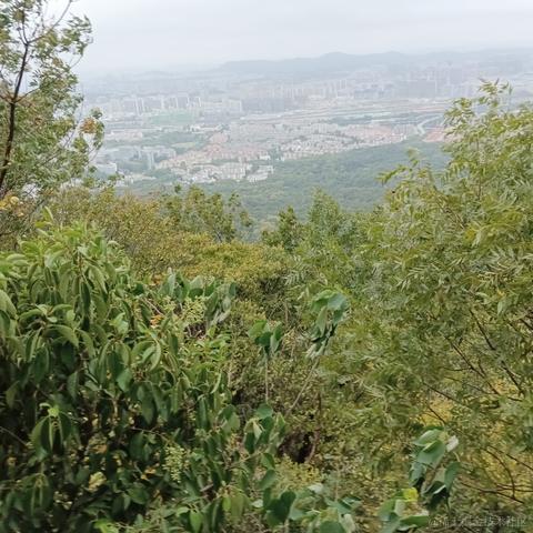 小方不会写代码于2022-10-05 21:44发布的图片