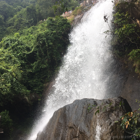 来快活呀于2020-11-02 08:30发布的图片