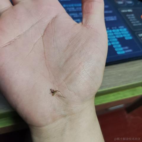 优秀稳妥的金枪小魔王于2023-06-06 09:34发布的图片