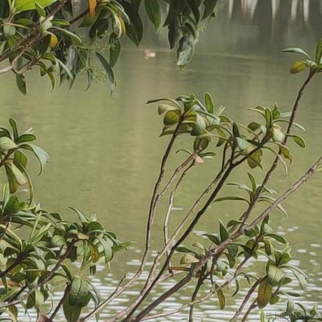 吃什么于2023-06-30 21:18发布的图片