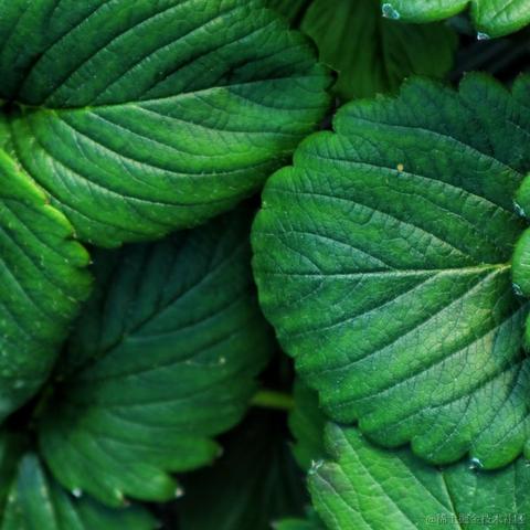 红毛丹于2022-03-07 10:18发布的图片