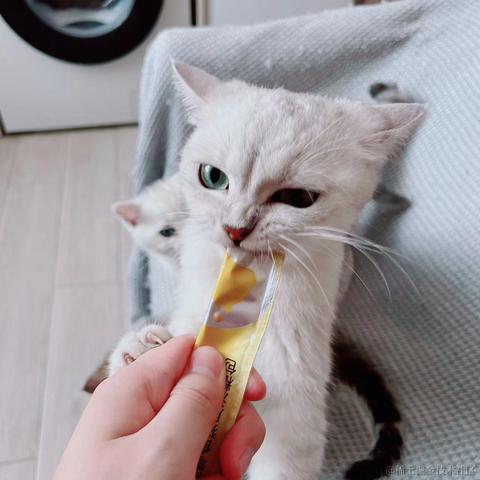 小小de海绵于2023-04-30 11:39发布的图片