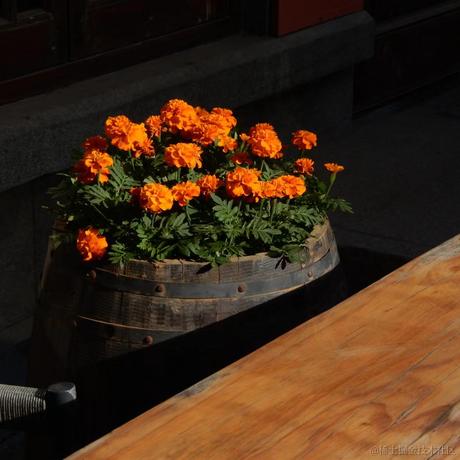 绿水染清风于2023-04-15 23:44发布的图片