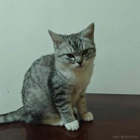 小程217于2024-01-14 10:45发布的图片