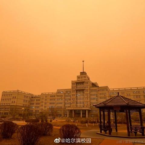 哇酷哇库于2023-04-11 17:00发布的图片