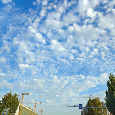 远远619于2022-11-14 12:10发布的图片