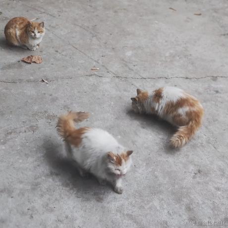 乃宝可爱捏于2022-11-27 12:25发布的图片