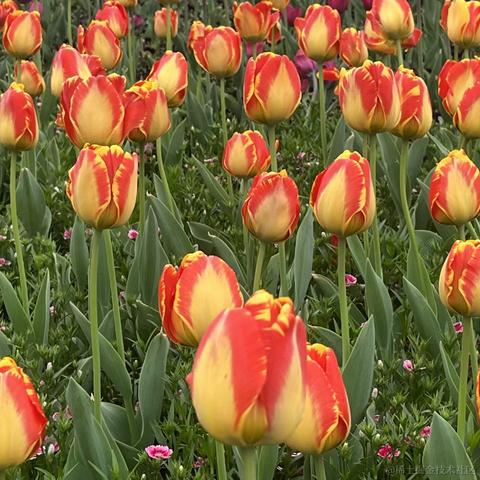 无糖气泡水于2023-03-15 07:53发布的图片