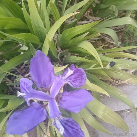 爱璀璨于2023-04-12 15:54发布的图片