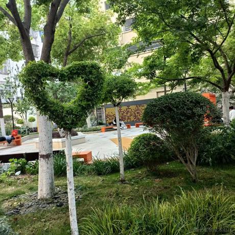 碱性蛋白于2023-04-21 23:51发布的图片