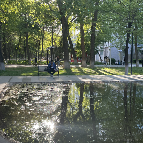 大草原的湖边6于2023-04-25 17:27发布的图片