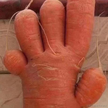 烤肉电线杆于2022-12-08 07:48发布的图片