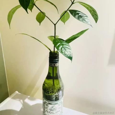 汽水味的小盆友于2022-11-23 14:58发布的图片