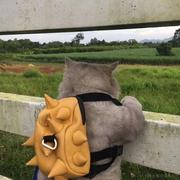 第一象限的个人资料头像