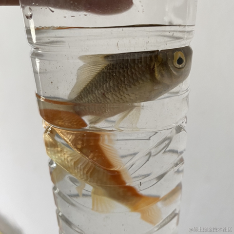 无敌小怪兽于2023-01-19 11:26发布的图片