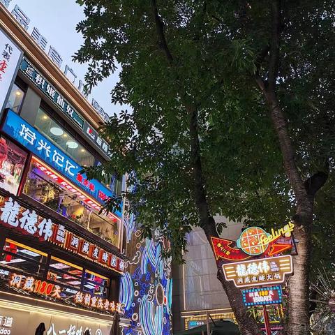 十洲云水于2023-06-25 23:55发布的图片