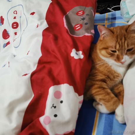 柒弎于2022-12-06 21:42发布的图片