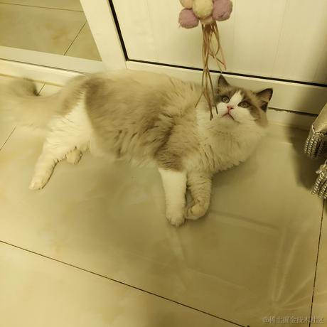 Deborah倩倩于2022-01-07 18:31发布的图片