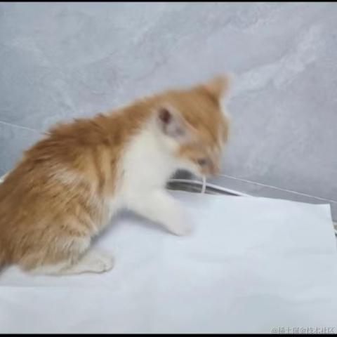 梦想是回家养猪于2024-06-24 10:34发布的图片
