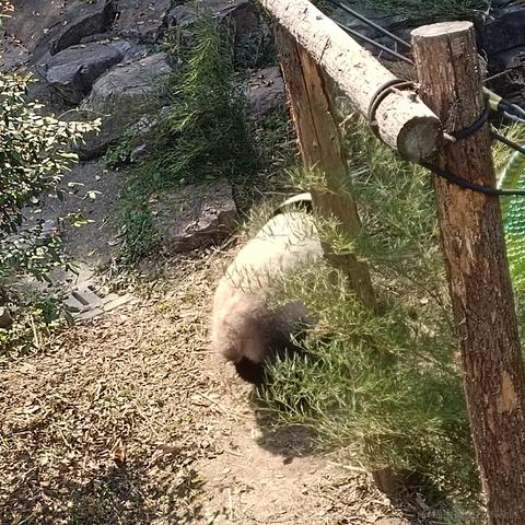 贝極星于2022-11-29 00:07发布的图片