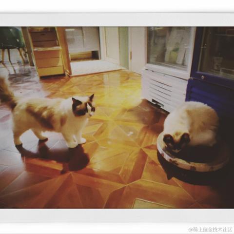 lanlan_于2023-04-08 23:27发布的图片