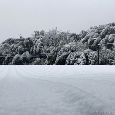 Mondo于2022-02-22 08:08发布的图片