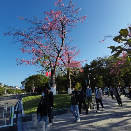 acaiEncode于2022-12-08 12:15发布的图片