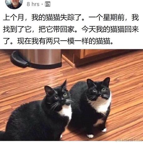 DevUI团队于2020-09-08 08:14发布的图片