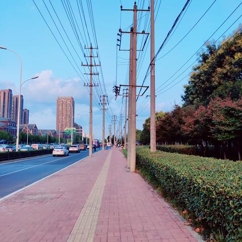 __Petrichor于2022-09-02 18:17发布的图片