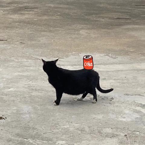 顶碗人1007于2024-02-26 00:01发布的图片