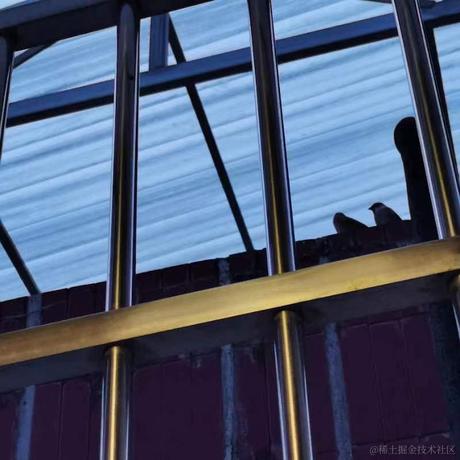 若阳小姐于2022-11-20 19:58发布的图片